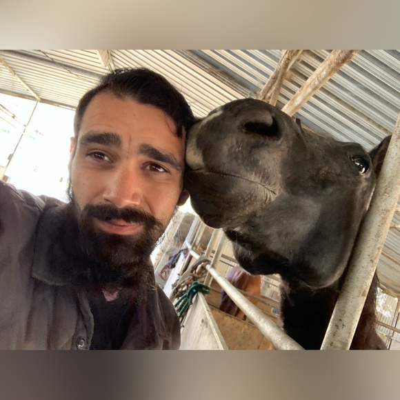 Meet your Posher, Adrian - Picture 1 of 1